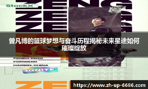 6686官网